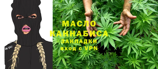 прущие грибы Переславль-Залесский