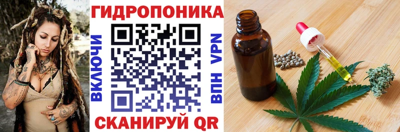 Бошки Шишки планчик  Волоколамск 